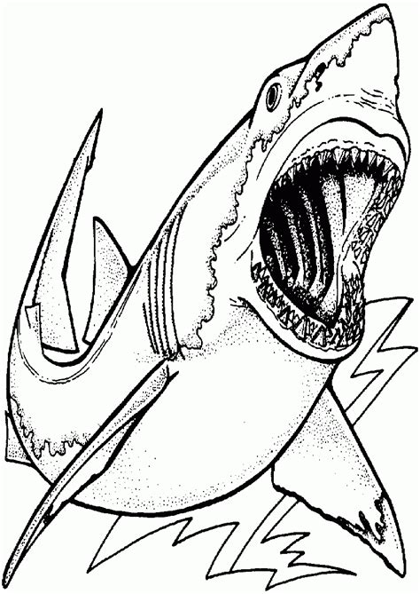 printable coloring pages sharks