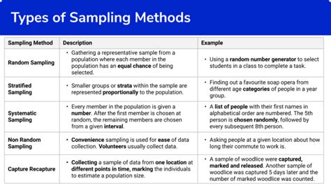 types  sampling methods steps examples worksheet