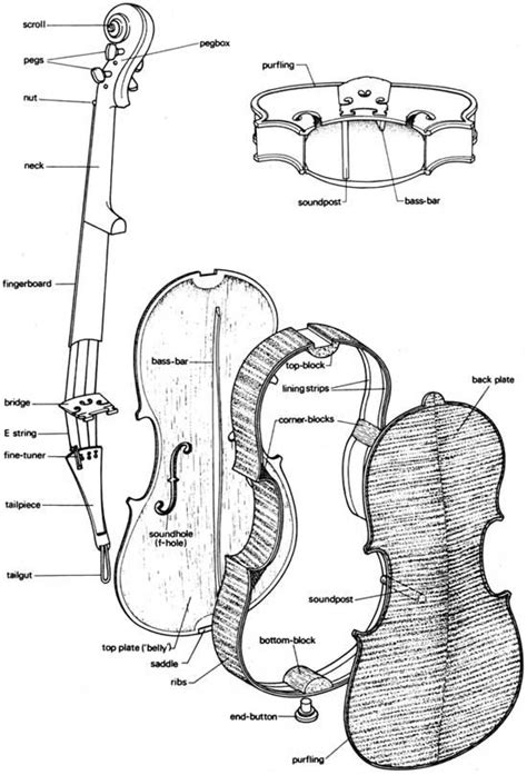 construction   violin skripka london zimoy violonchel