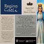 Afbeeldingsresultaten voor "coelographis Regina". Grootte: 150 x 150. Bron: www.pinterest.es