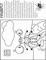 Makingfriends Insects Brownie sketch template