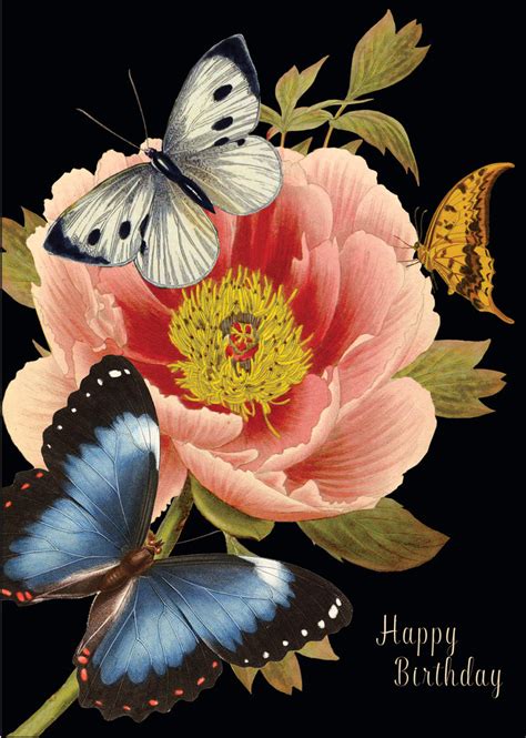 happy birthday butterflies wholesale matte black greeting cards p
