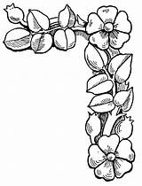 Border Flower Borders Clipart Clip Coloring Pages Floral Flowers Sunflower Simple Designs Frame Drawing Corner Wedding Line Color Cliparts Colouring sketch template