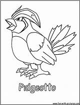 Coloring Pages Pidgeot Template Pidgeotto sketch template