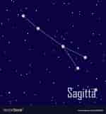 Afbeeldingsresultaten voor "sagitta Ophicephala". Grootte: 150 x 161. Bron: www.vectorstock.com