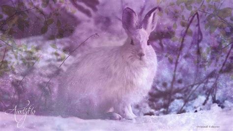 Rabbits In Dreams Did You Dream About A Rabbit Spiritual Meaning