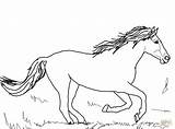 Mustang Caballo Corriendo Coloring Pferde Ausmalbild Caballos Malvorlagen Kostenlos Ausdrucken sketch template