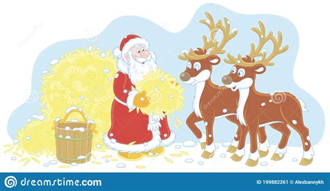 Santa Claus Feeding His Reindeer With Hay Stock Vector Illustration