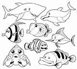 Laut Mewarnai Binatang Berikut Merupakan sketch template