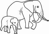 Elephant Coloring Mother His Netart sketch template