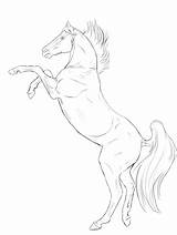 Rearing Lineart Gaited sketch template