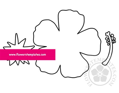 hibiscus paper template  flowers templates