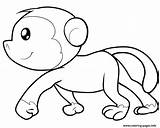 Monkey Coloring Printable Spider Pages sketch template