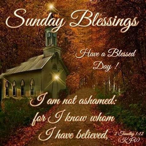 Sunday Blessings Have A Blessed Day With Bible Quote