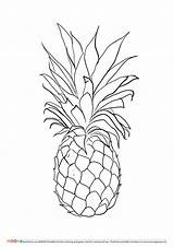 Coloring Pineapple Pages Printable Drawing Pineapples Fruits Fruit Colouring Kids Pinapple Template Awesome Apple Book Small Davemelillo Drawings sketch template