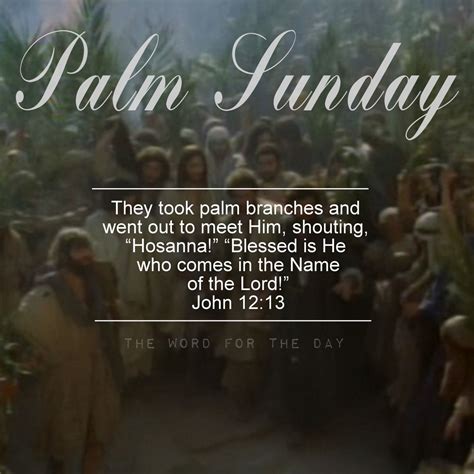 palm branches     meet  shouting hosanna