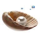 pearl icon    png  ico formats veryiconcom