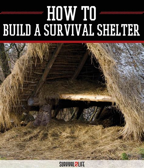 california survival school survival shelter tutorial