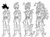 Coloring Dragon Ball Transformation Super Pages Songoku Saiyajin Goku Son Beautiful Kids sketch template