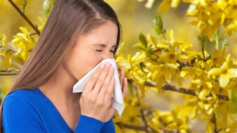 10 best cities for allergy sufferers 5 tips to make life easier