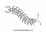 Centipede Centipedes Colouring Mindfulness Kidspuzzlesandgames sketch template