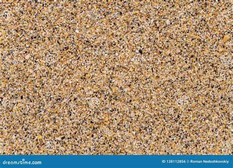large coarse wet sea sand consisting  fragments  debris sea shells stock photo image