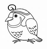 Quail Coloring 94kb sketch template