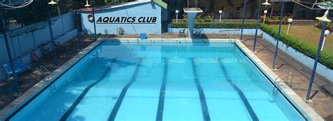 introducir  imagen aquatic club abzlocalmx
