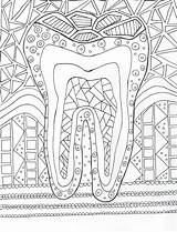 Dental Coloring Hygiene Diente Practice Vision Assistant Indirect Hygienist Dibujo Humor Hygienists Pintar Pages Adult Students Favorite Things Imagenes Arte sketch template