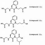 Dipeptide Sketch Template Templates Example sketch template