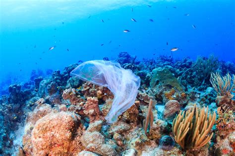 plastic    ocean  questions    answer  fix plastic pollution vox