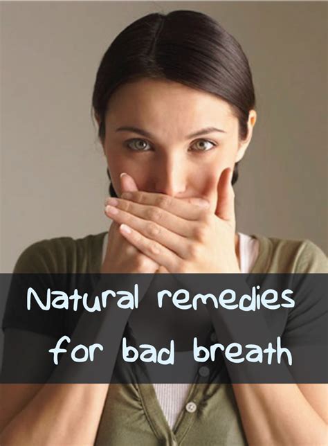 the philosopher natural remedies for bad breath