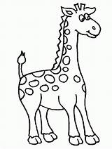 Outline Giraffe Drawing Coloring Getdrawings sketch template