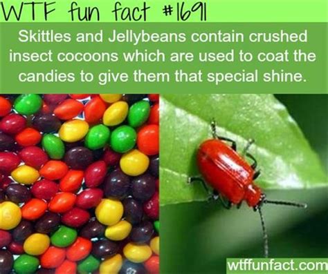 wtf facts 3 dump a day