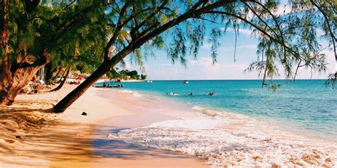 barbados guide hotels restaurants and things to do