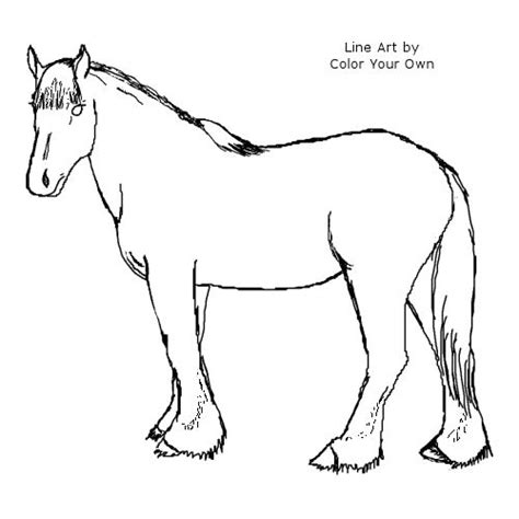 clydesdale horse coloring page