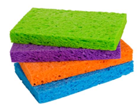 clean  sponges moms kitchen handbook