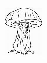 Mushroom Morel sketch template