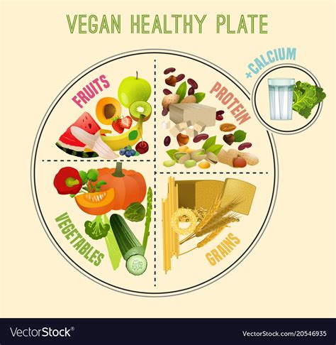healthy eating plate royalty  vector image