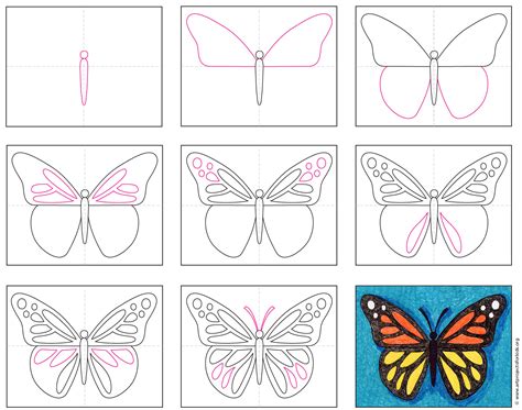 butterfly drawing easy step  step williams mannion