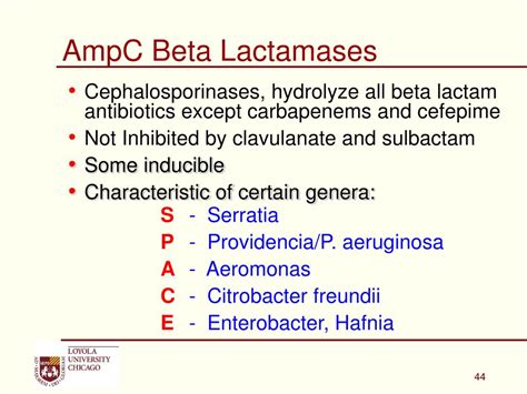 detection  reporting  beta lactam resistance