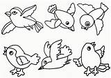 Coloring Pages Robin Spring Popular Bird sketch template