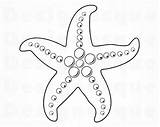 Starfish Seashell Webstockreview sketch template