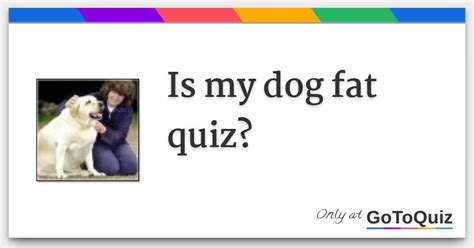 dog fat quiz