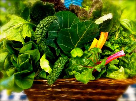 green leafy vegetables    risk  glaucoma study
