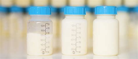 unique   human milk  infants feeding preemie