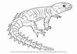 Lizard Draw Armadillo Step Girdled Drawing Reptiles Line Simple Make Getdrawings Learn Tutorials Drawingtutorials101 sketch template