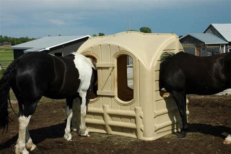 bale hut horse barn haygrain feeders pinterest ideas