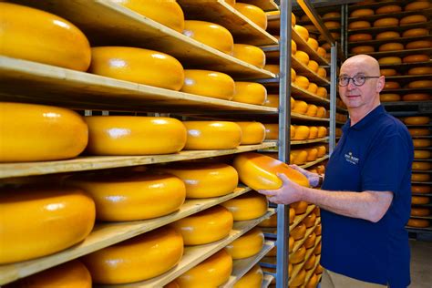 kaas groothandel voor kaaswinkels marktkramen en venters