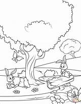 Forest Coloring Pages Spring Rabbits Printable Drawing Color Getcolorings Sprin sketch template